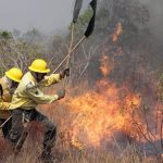 Emergência ambiental: secas atingem 756 cidades brasileiras, impactando um terço do Nordeste