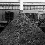 Do entulho ao plenário: o diálogo atemporal entre a Marcenaria Olinda e o ‘Marxista Cinético’ Abelardo da Hora na Funesc