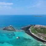 Baleias, corais e naufrágios: a Bahia que te obriga a “abrir os olhos”