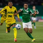 Brasileirão 2025: Palmeiras segue no topo, ameaçado pelo Flamengo, enquanto Mirassol sonha alto com a Libertadores