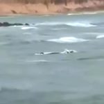 Vídeo: Lancha afunda e acende alerta sobre segurança e risco ambiental no litoral potiguar