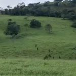 Vídeo de confronto no Recôncavo: Operação em mata fechada desarticula célula de facção na bahia