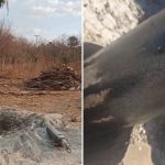 Ouro negro ou miragem? A descoberta que divide o Sertão cearense entre o lucro e a sede