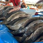 O alerta no prato: como garantir que a tradição da Semana Santa não termine no hospital