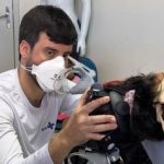 Onde as letras falham, o desenho cura: a receita visual que alfabetiza a saúde no SUS