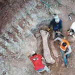 A ponte pré-histórica entre continentes: o titã maranhense que redefine a geografia dos dinossauros