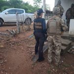 A raiz do tráfico: operação desmantela cinturão de cultivo de maconha no Nordeste