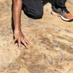 Passado gigante: nova pegada de dinossauro é identificada no Sertão da Paraíba