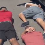 Milhão em prejuízo: Forças de segurança interceptam carregamento de drogas na BR-230