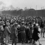 O peso das palavras e o silêncio da lei: o debate sobre o PL 1424/2026 e a memória do holocausto