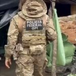 Polícia Federal desmantela enclave tecnológico de maconha no sertão do Piauí