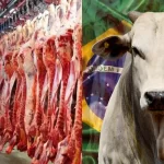 UE barra proteína animal brasileira e Brasília articula ofensiva diplomática