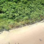 O fim do muro de Maracaípe: Justiça Federal ordena demolição de barreira que sufocava o litoral de Pernambuco