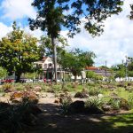 O legado verde de Burle Marx reencontra as ruas do Recife