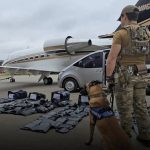 Jato executivo vindo dos EUA é interceptado com 260 kg de maconha no Paraguai