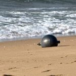 Detritos orbitais mudam rotina de vila costeira na Austrália