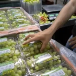 Do Sertão para o mundo: a estratégia da viticultura irrigada para vencer barreiras globais