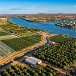 O milagre da água no Sertão: Como a fruticultura conquistou o mercado internacional