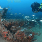 ​Memórias do mar vermelho: a arqueologia subaquática revela o rastro do tráfico escravagista na Bahia